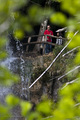 Plitvice 2011