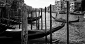 Venecija