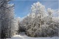 Velebit