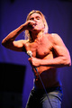 Iggy Pop