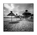 Pinhole day 20…