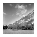 Bohinj