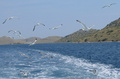 Kornati