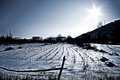 zimsko polje..…