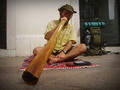 Didgeridoo