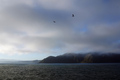 Cook Strait