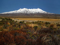 Ruapehu