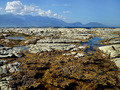 Kaikoura Coast