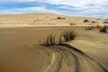 Mangawhai Dunes