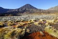 Tongariro Cros…