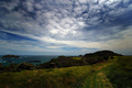 Tutukaka Heads