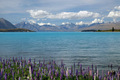 Tekapo