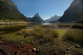 Milford Sound