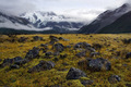 Tasman Valley