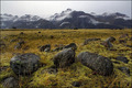 Tasman Valley 