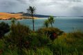 Hokianga