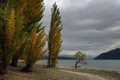 Wanaka