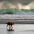 Beach walk...