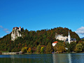 bled