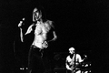 Iggy Pop &…