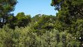 Oj Marjane sam&hellip;
