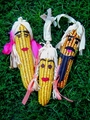 CORN FAMILY