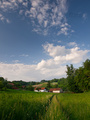 zagorje zelene