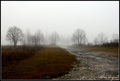 Crkvica u magli
