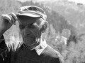 Deda