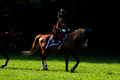 Husarska garda&hellip;