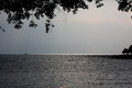 Umag IV