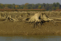 Isušeno jezero