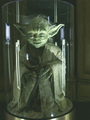 Yoda