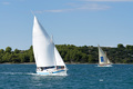 Regata 