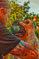 Skate fotograf…