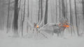 Summon...