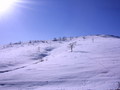 Zlatibor