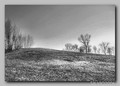 jarunska plani…