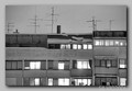 moj balkon