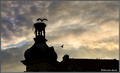 Osijek u sumrak