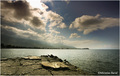 pogled