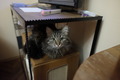 Annoyed 2