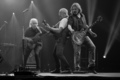 Jethro Tull